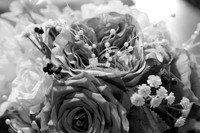 IMG_0457bw