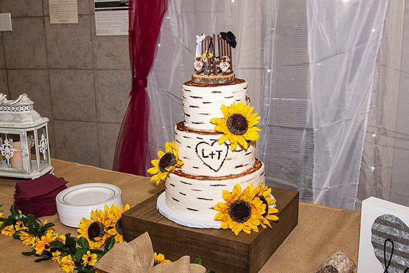 FinalCake_0002